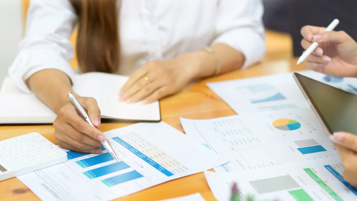 Studii de fezabilitate